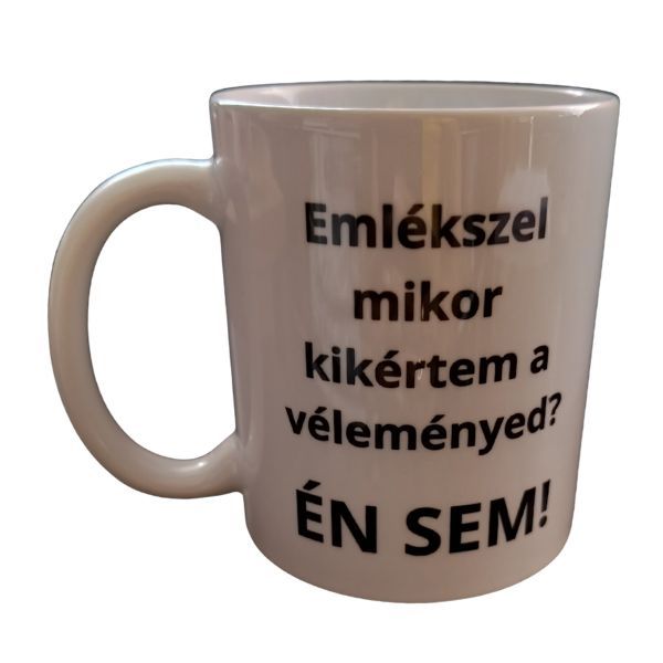 Emlékszel mikor kikértem a véleményed-fehér bögre