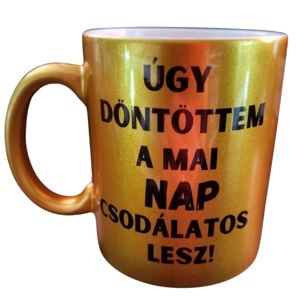 Úgy döntöttem a mai nap csodálatos lesz