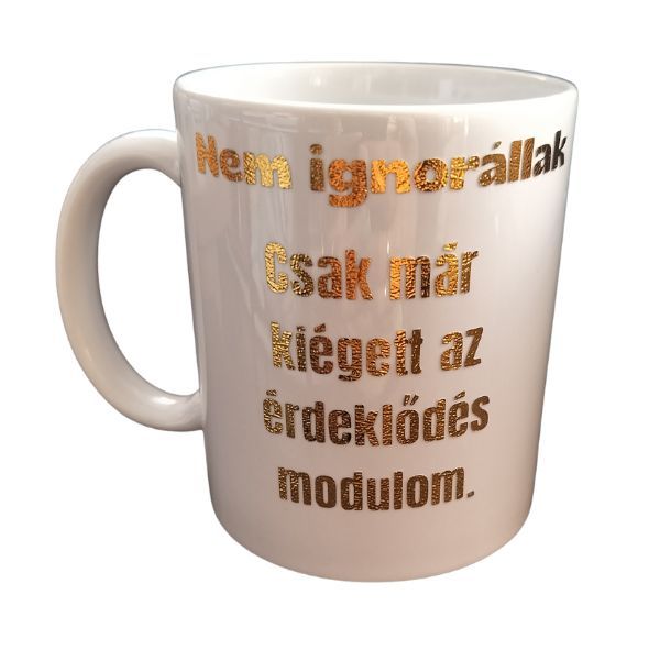 Nem ignorállak-fehér bögre