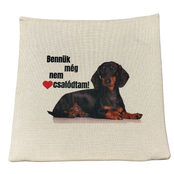 Bennük még nem csalódtam vászon párnahuzat