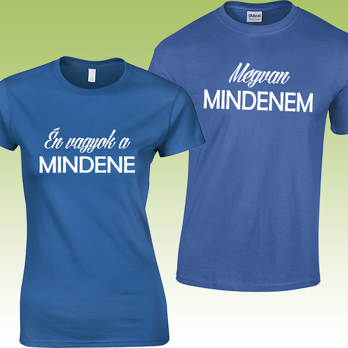 „Megvan mindenem” páros póló