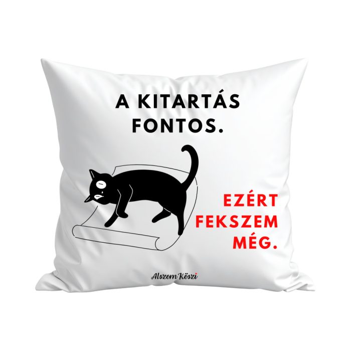 AlszomKöszi párna - A kitartás fontos-Ezért fekszem még